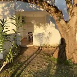 Amazing T.m. In Nossa Senhora Da Rocha Διαμέρισμα *