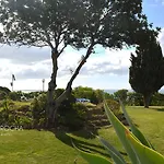 Amazing T.m. In Nossa Senhora Da Rocha Porches (Algarve)