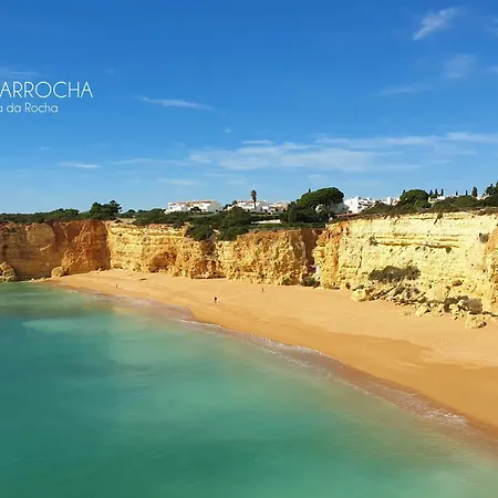 Amazing T.m. In Nossa Senhora Da Rocha Διαμέρισμα *