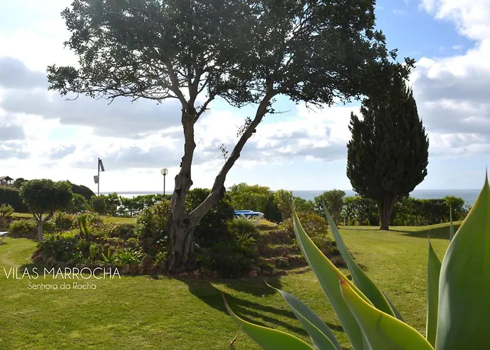 Amazing T.m. In Nossa Senhora Da Rocha Porches (Algarve)