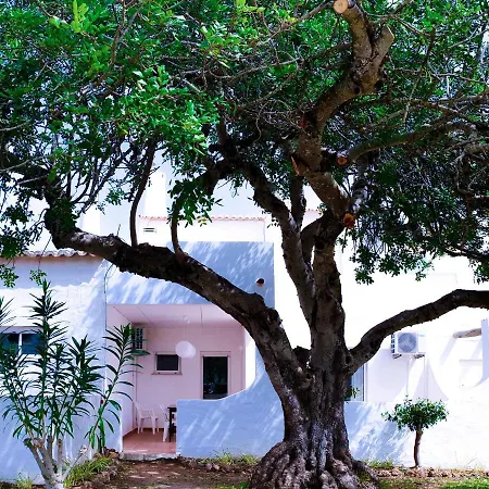 Amazing T.m. In Nossa Senhora Da Rocha ポルシェス