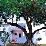 Amazing T.m. In Nossa Senhora Da Rocha Porches (Algarve)