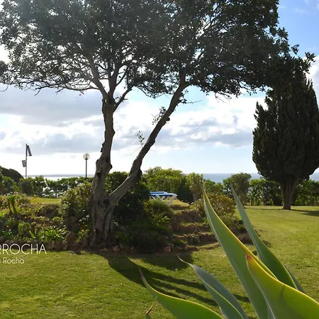 Amazing T.m. In Nossa Senhora Da Rocha Porches (Algarve)