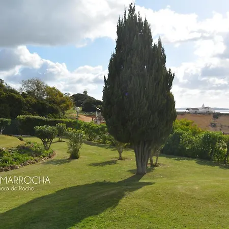 Apartmán Amazing T.m. In Nossa Senhora Da Rocha *
