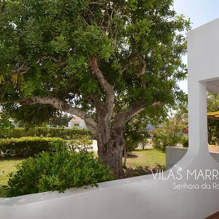 Amazing T.m. In Nossa Senhora Da Rocha * Porches (Algarve)