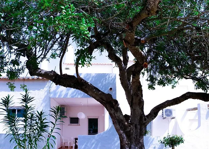 Amazing T.m. In Nossa Senhora Da Rocha Porches (Algarve)